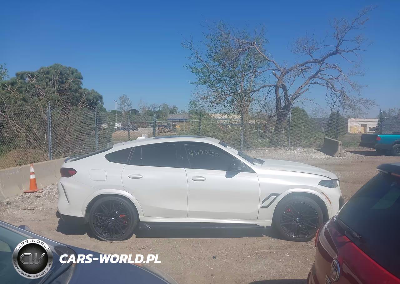 2025 BMW X6 M VIN:5YM23ET00S9000711 - 13