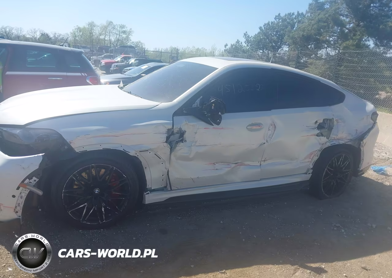 2025 BMW X6 M VIN:5YM23ET00S9000711 - 6