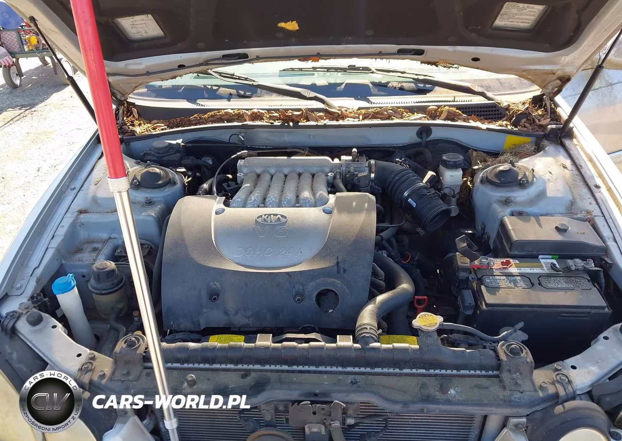 2006 Kia Optima VIN:KNAGD128765440222 - 10