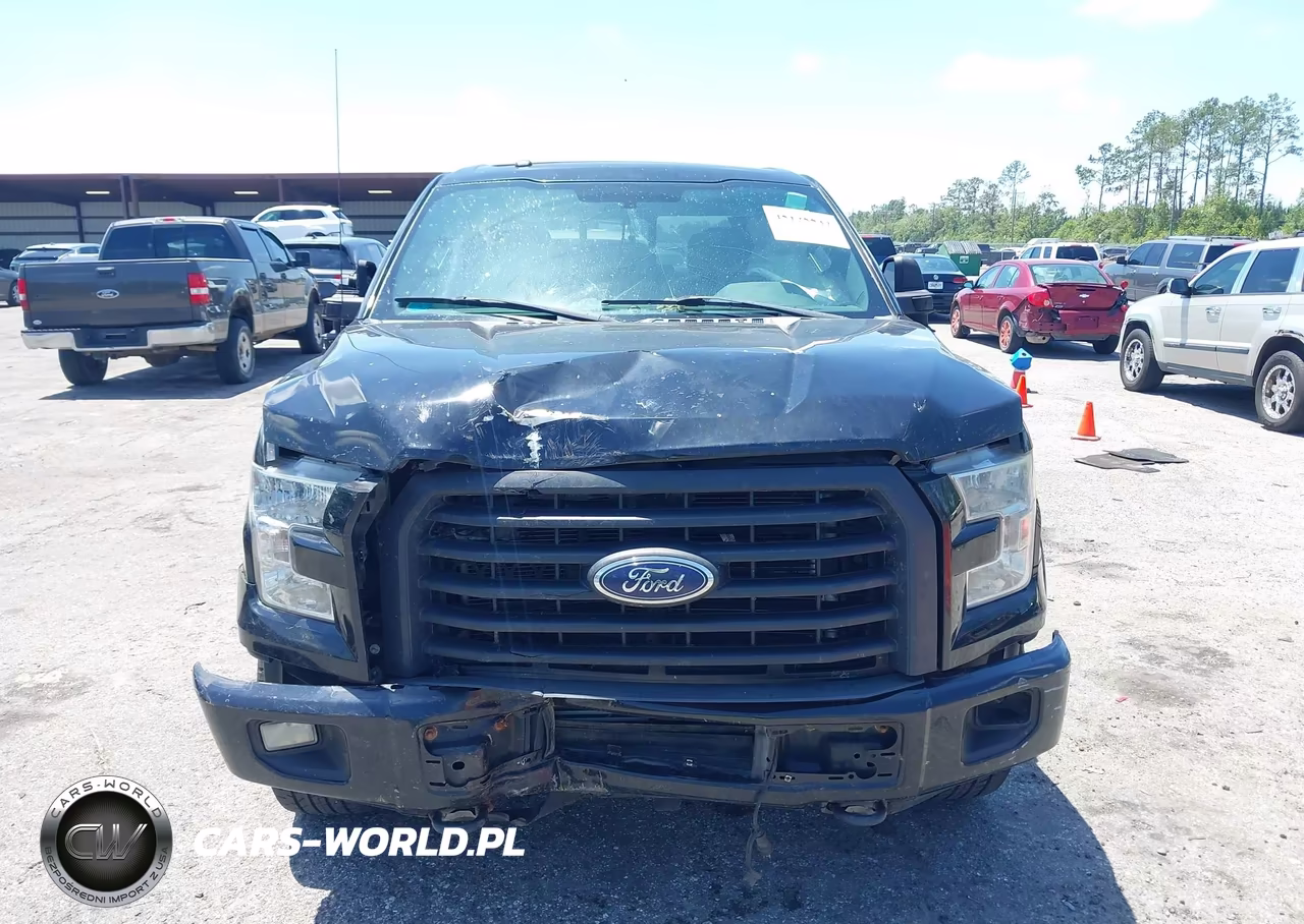2016 Ford F-150 Xlt VIN:1FTFW1EG4GFA19534 - 12
