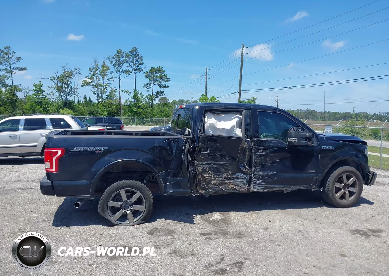 2016 Ford F-150 Xlt VIN:1FTFW1EG4GFA19534 - 13