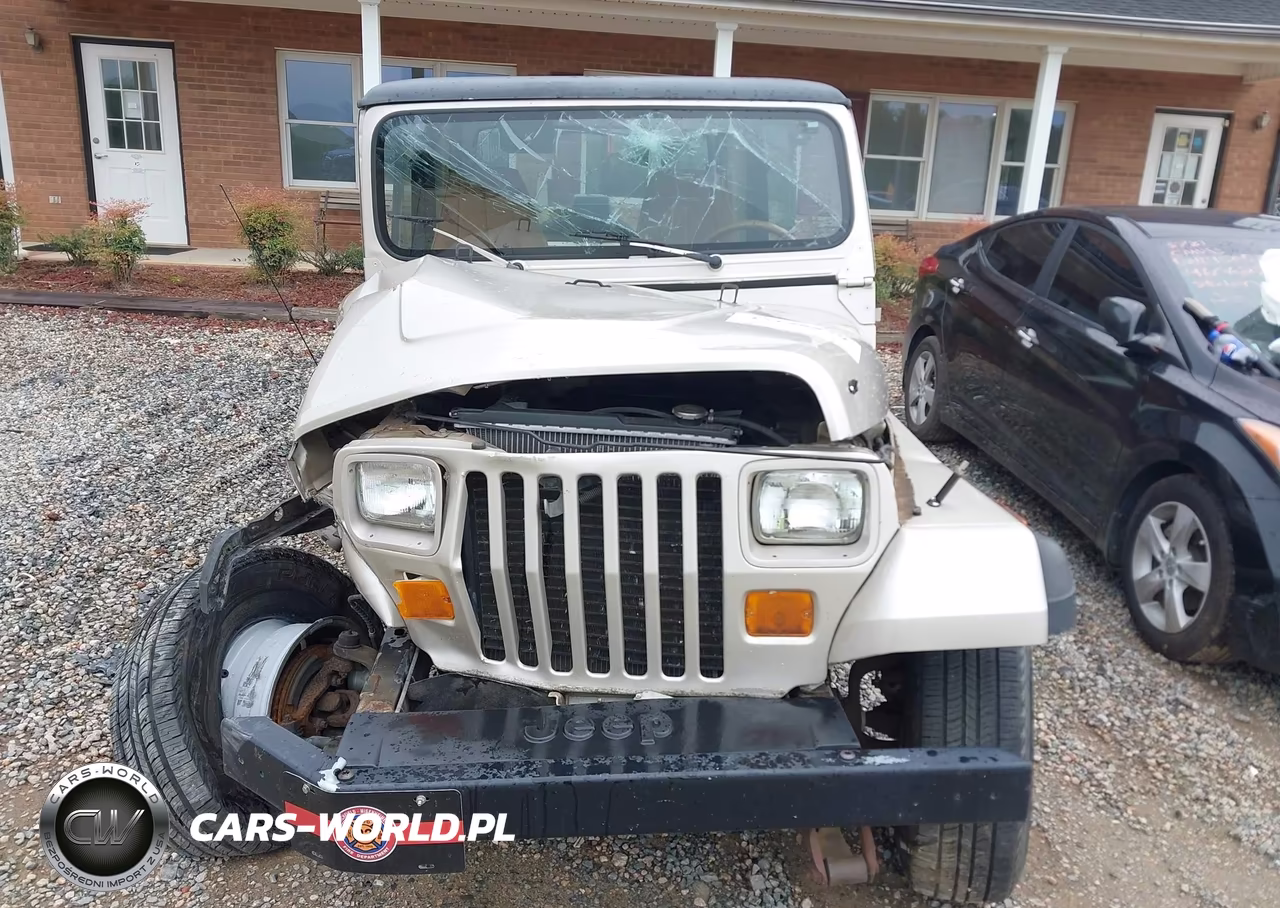 1995 Jeep Wrangler - Yj Se VIN:1J4FY29S0SP266934 - 12