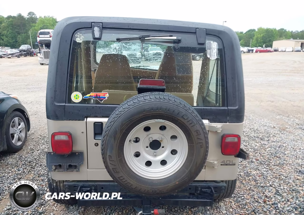 1995 Jeep Wrangler - Yj Se VIN:1J4FY29S0SP266934 - 16