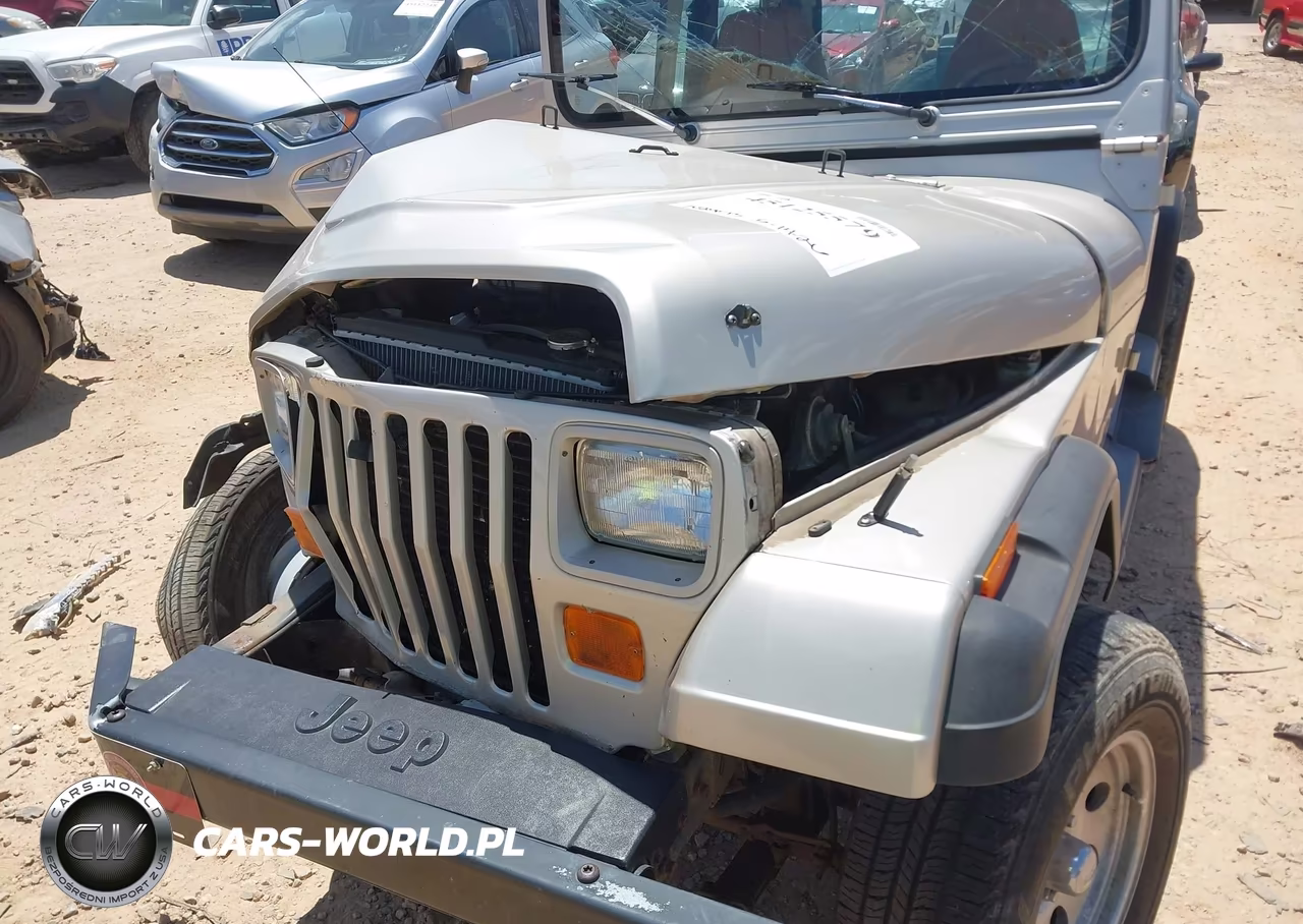 1995 Jeep Wrangler - Yj Se VIN:1J4FY29S0SP266934 - 18