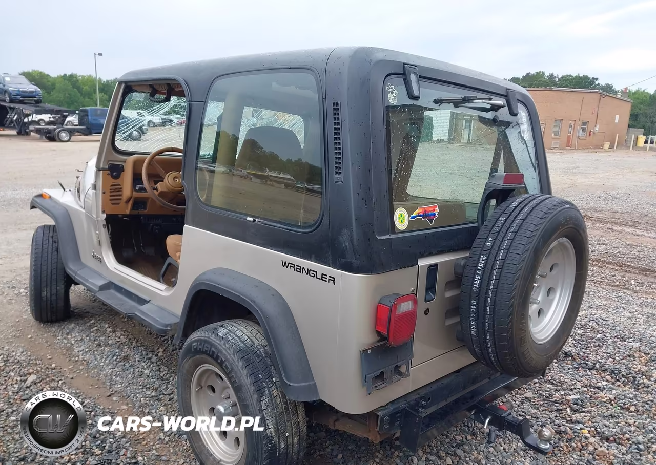 1995 Jeep Wrangler - Yj Se VIN:1J4FY29S0SP266934 - 3