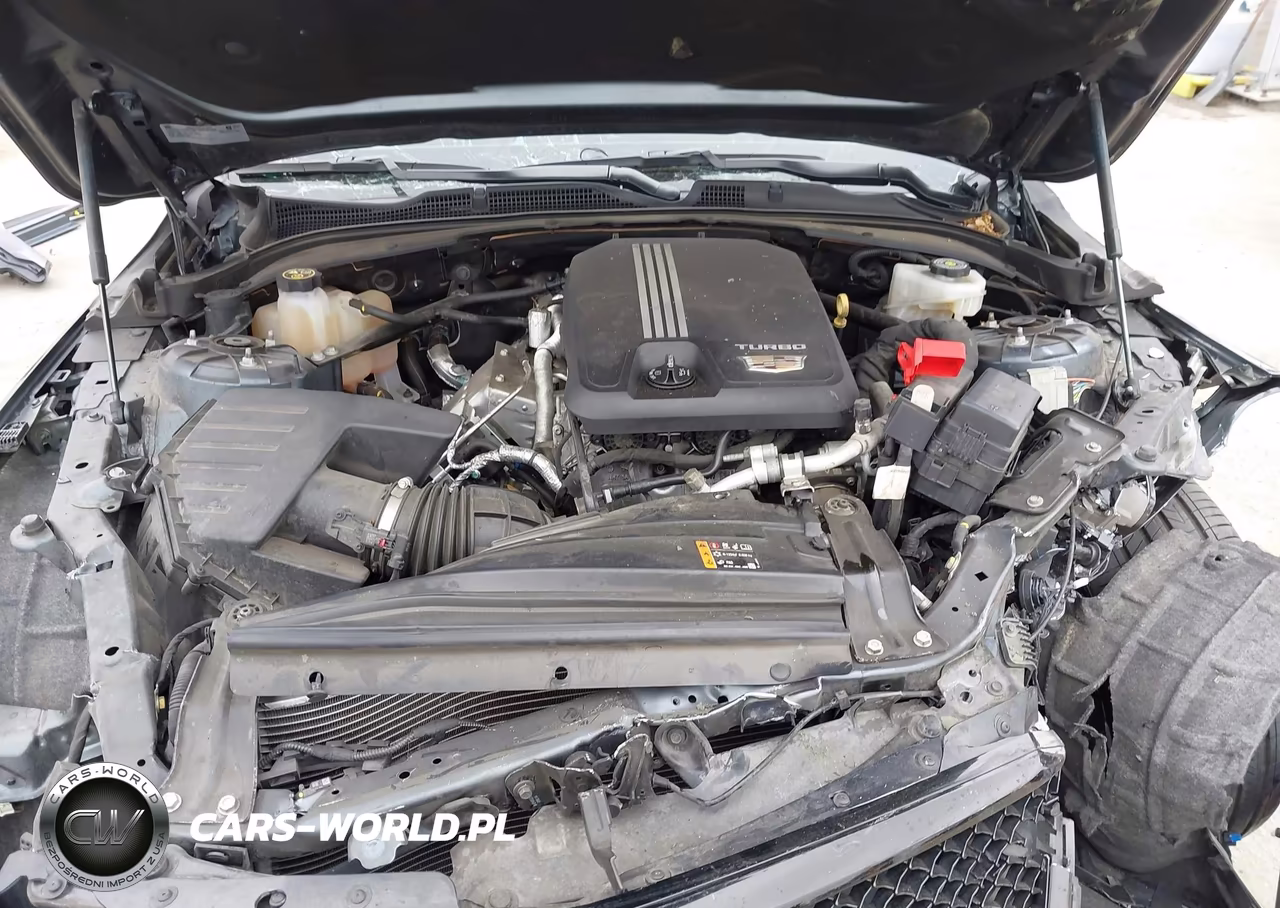 2020 Cadillac Ct4 Sport VIN:1G6DC5RK3L0140335 - 10