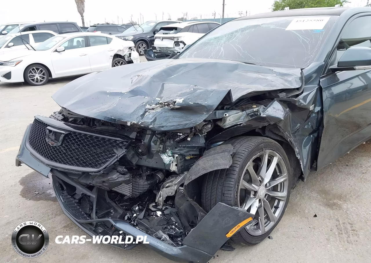 2020 Cadillac Ct4 Sport VIN:1G6DC5RK3L0140335 - 6