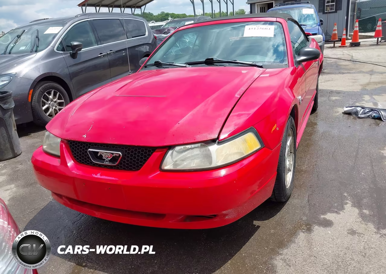 2004 Ford Mustang VIN:1FAFP44614F215519 - 12