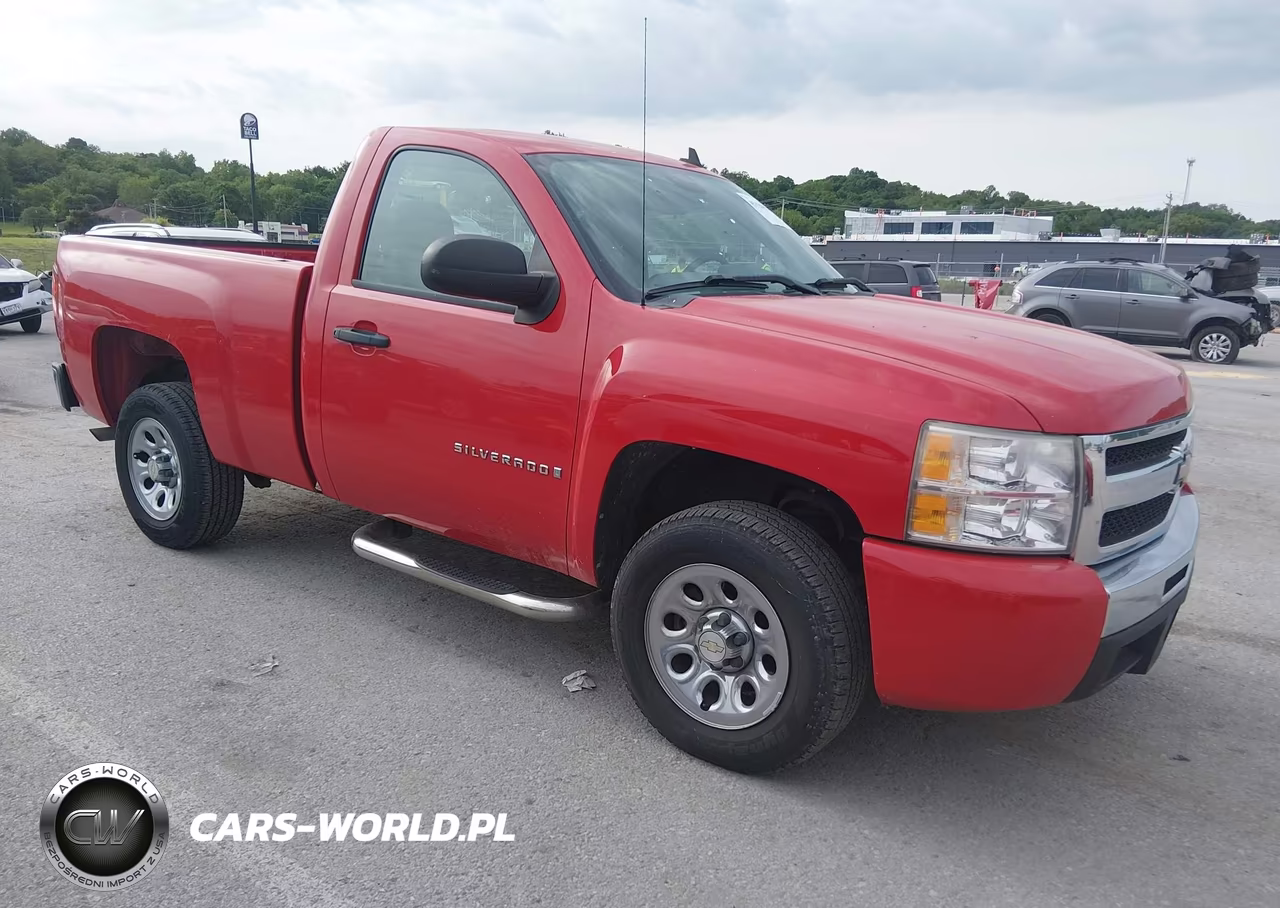 2009 Chevrolet Silverado 1500 Work Truck