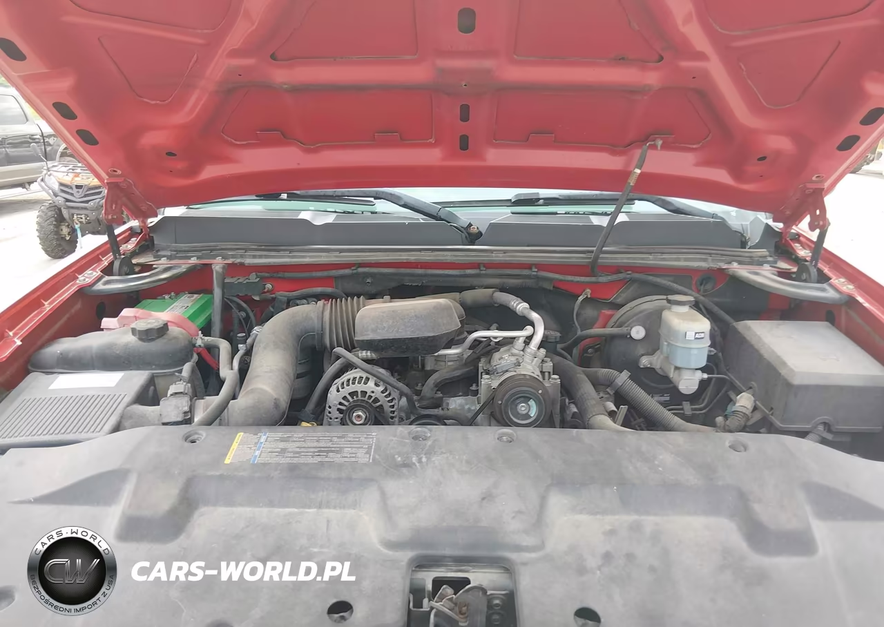 2009 Chevrolet Silverado 1500 Work Truck VIN:1GCEC14X29Z156088 - 10