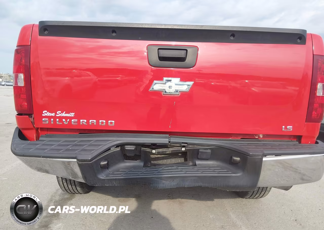 2009 Chevrolet Silverado 1500 Work Truck VIN:1GCEC14X29Z156088 - 6