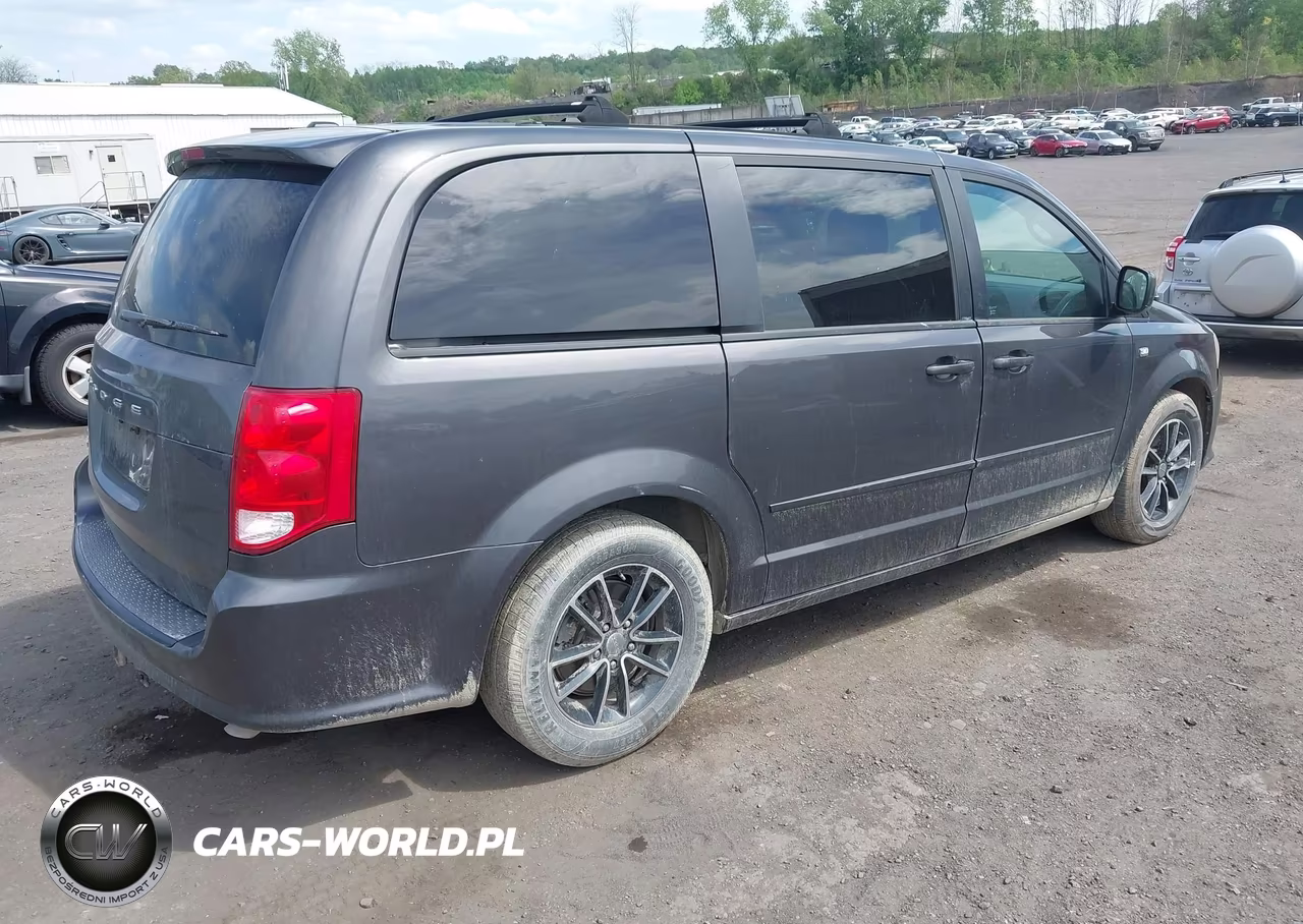 2014 Dodge Grand Caravan Se 30Th Anniversary VIN:2C4RDGBG3ER302202 - 4