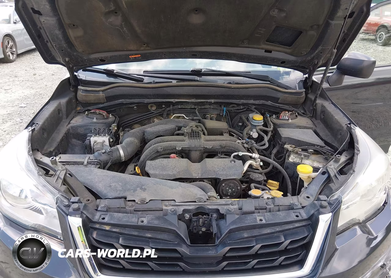 2018 Subaru Forester 2.5I VIN:JF2SJABC9JH423568 - 10
