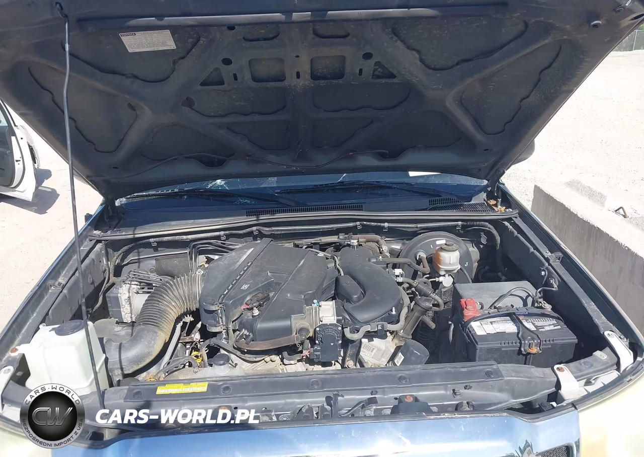 2010 Toyota Tacoma Base V6 VIN:5TELU4EN9AZ736224 - 10