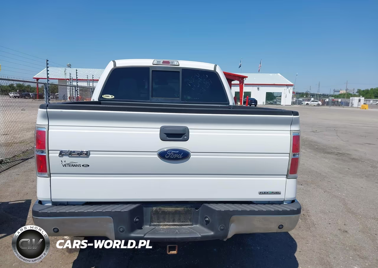 2012 Ford F-150 Xlt VIN:1FTEW1CM8CFC16320 - 17