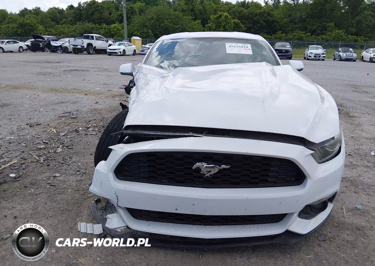 2017 Ford Mustang Ecoboost VIN:1FA6P8THXH5205500 - 11