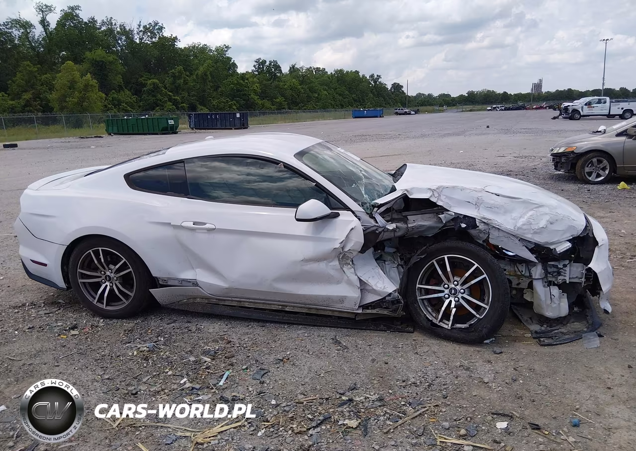 2017 Ford Mustang Ecoboost VIN:1FA6P8THXH5205500 - 12