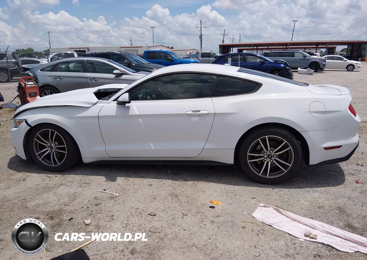 2017 Ford Mustang Ecoboost VIN:1FA6P8THXH5205500 - 13
