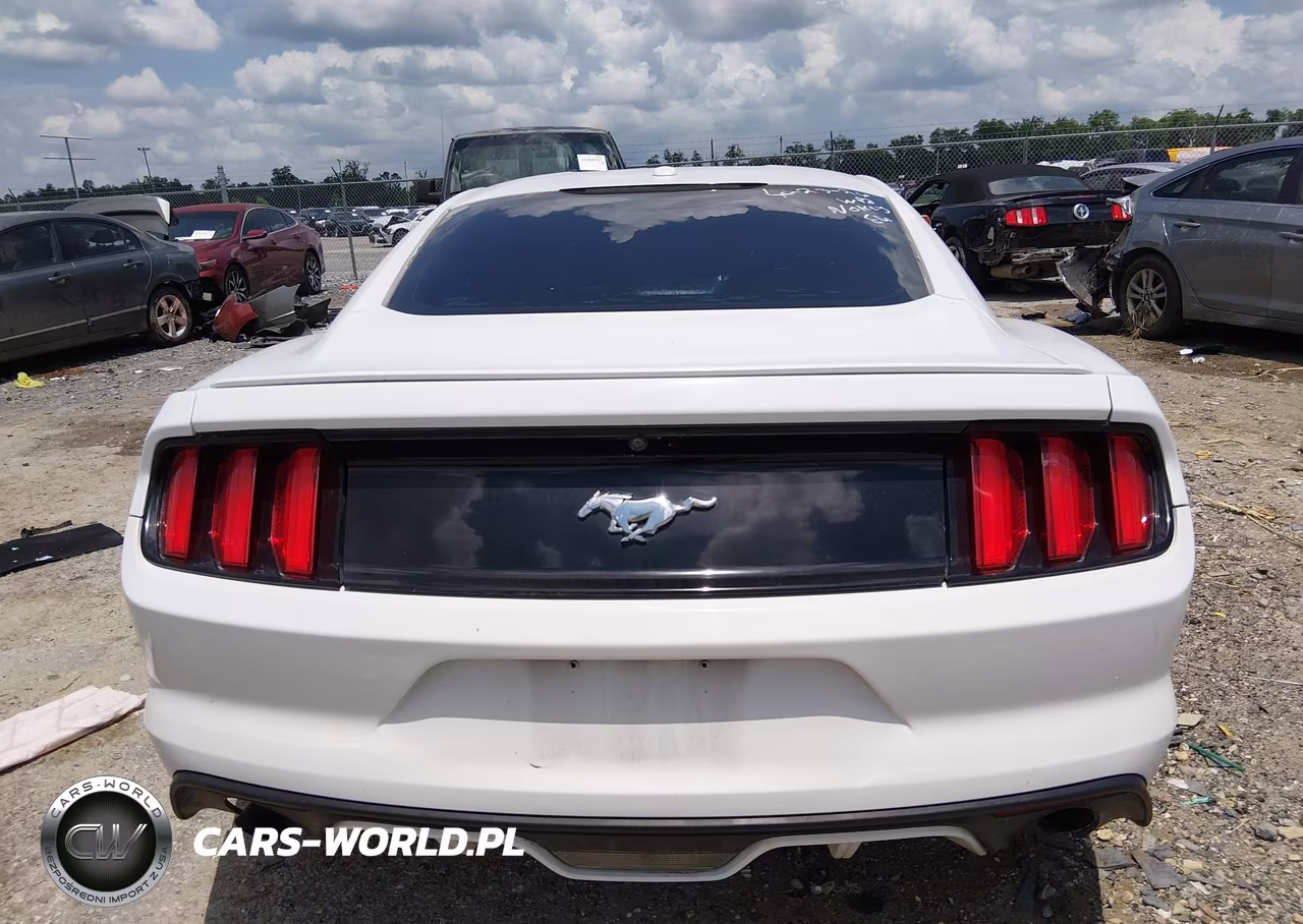 2017 Ford Mustang Ecoboost VIN:1FA6P8THXH5205500 - 15