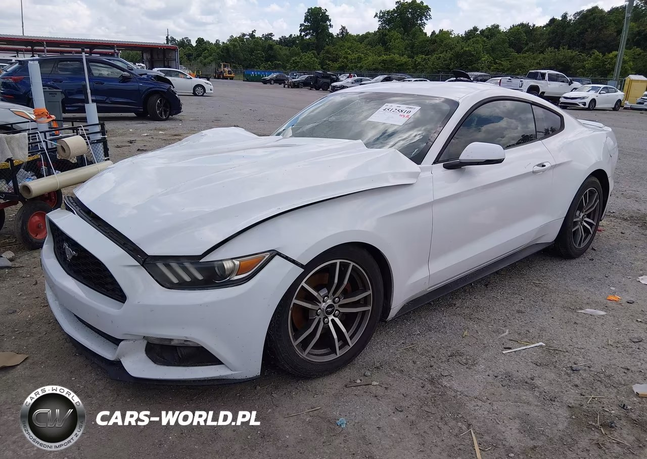 2017 Ford Mustang Ecoboost VIN:1FA6P8THXH5205500 - 2