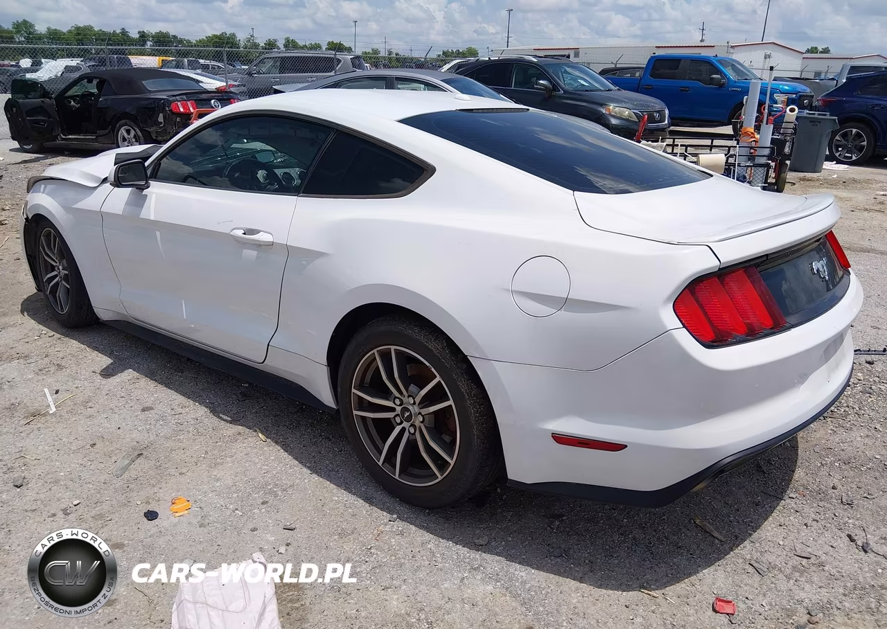 2017 Ford Mustang Ecoboost VIN:1FA6P8THXH5205500 - 3