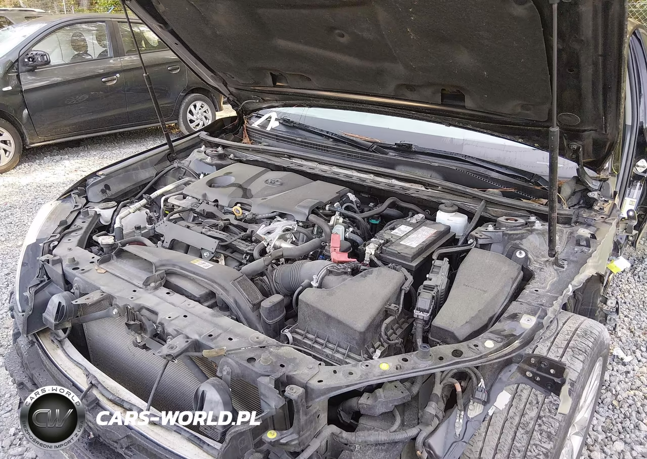 2019 Toyota Camry Le VIN:4T1B11HKXKU830106 - 10