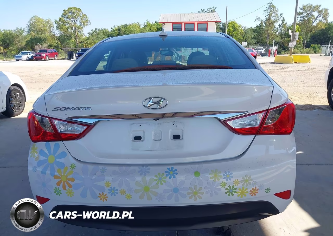 2014 Hyundai Sonata Gls VIN:5NPEB4AC1EH859043 - 16