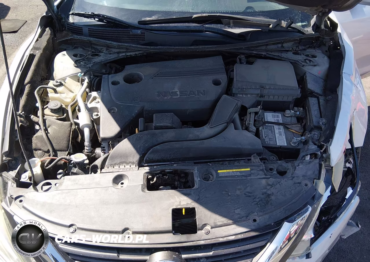 2016 Nissan Altima 2.5 S VIN:1N4AL3AP8GC195062 - 10