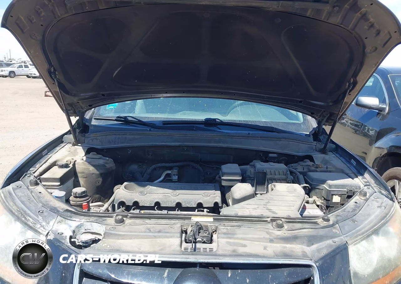 2010 Hyundai Santa Fe Gls VIN:5NMSG3AB3AH377476 - 10