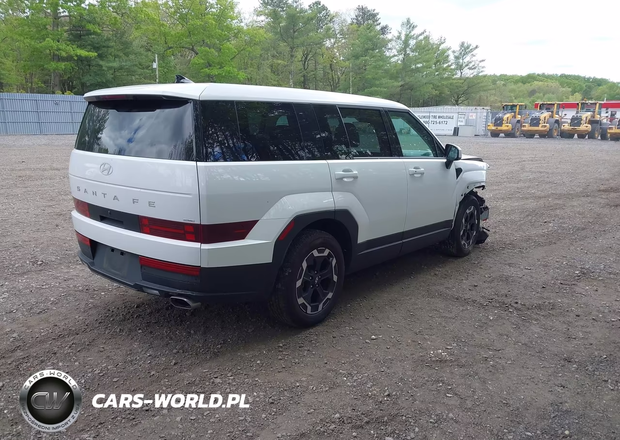 2024 Hyundai Santa Fe Se VIN:5NMP1DGL2RH046140 - 4
