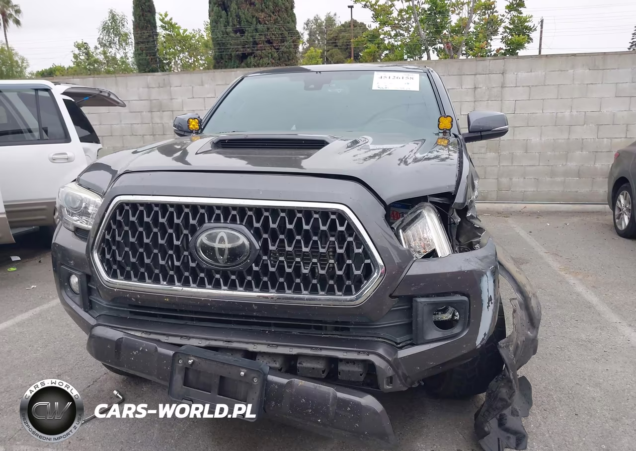 2019 Toyota Tacoma Trd Sport VIN:3TMCZ5AN1KM270459 - 12