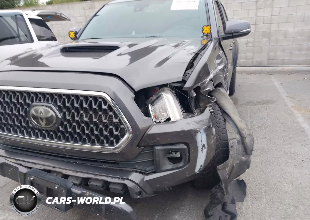 2019 Toyota Tacoma Trd Sport VIN:3TMCZ5AN1KM270459 - 17