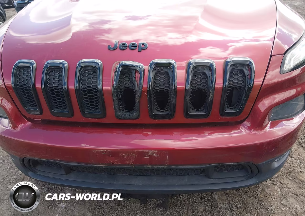 2016 Jeep Cherokee High Altitude VIN:1C4PJMDS7GW301676 - 12