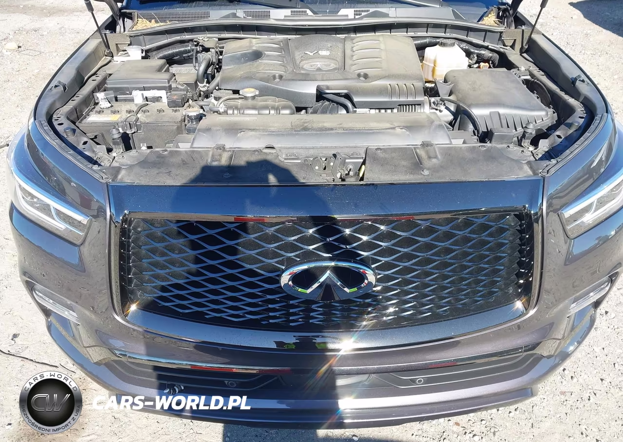 2022 Infiniti Qx80 Premium Select VIN:JN8AZ2AF8N9742565 - 10
