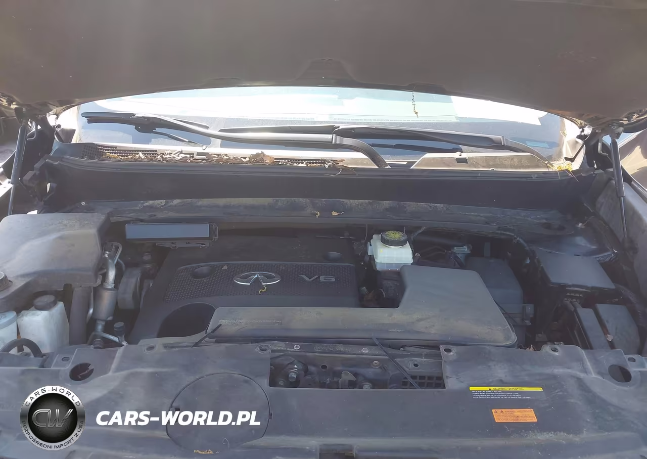 2016 Infiniti Qx60 VIN:5N1AL0MM8GC517981 - 10