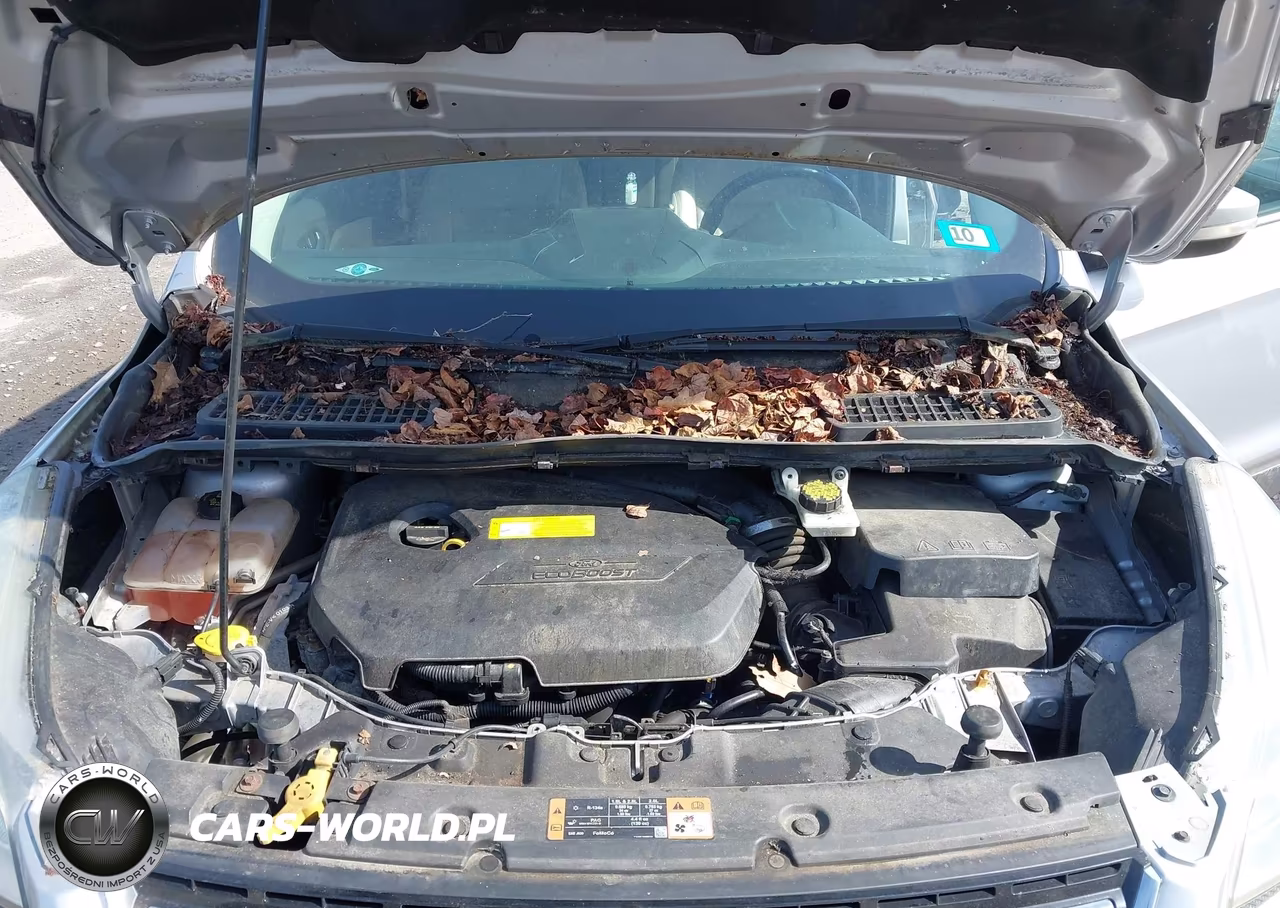 2015 Ford Escape Titanium VIN:1FMCU9JX4FUC20126 - 10