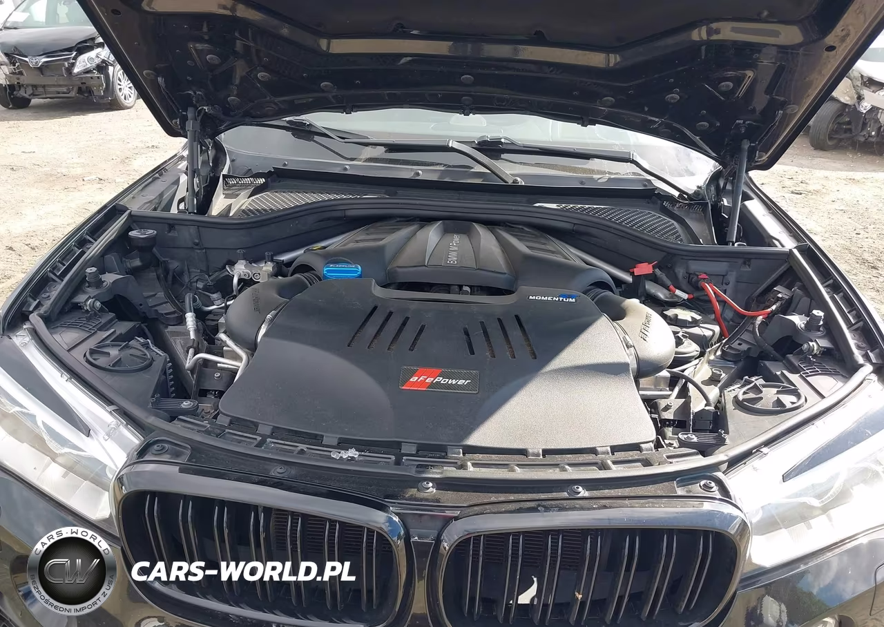2016 BMW X6 M VIN:5YMKW8C53G0R43336 - 10