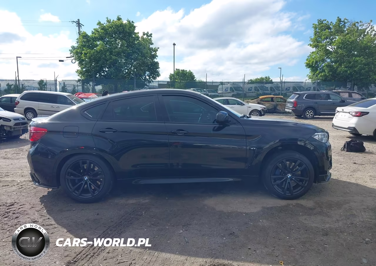 2016 BMW X6 M VIN:5YMKW8C53G0R43336 - 14