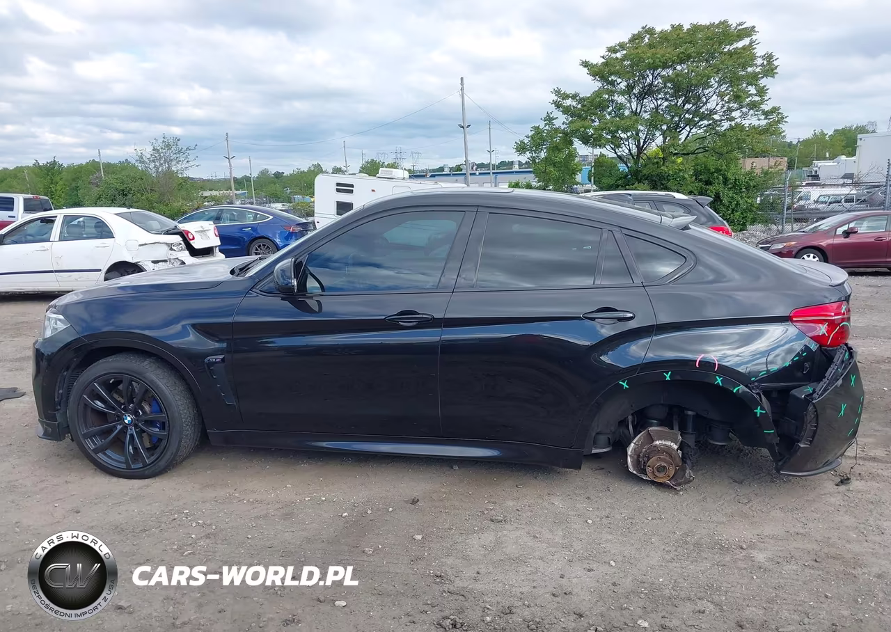 2016 BMW X6 M VIN:5YMKW8C53G0R43336 - 15