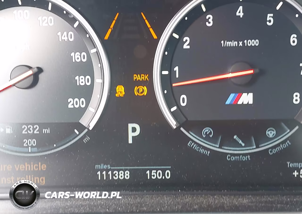 2016 BMW X6 M VIN:5YMKW8C53G0R43336 - 16