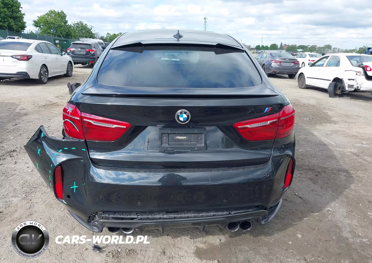 2016 BMW X6 M VIN:5YMKW8C53G0R43336 - 17