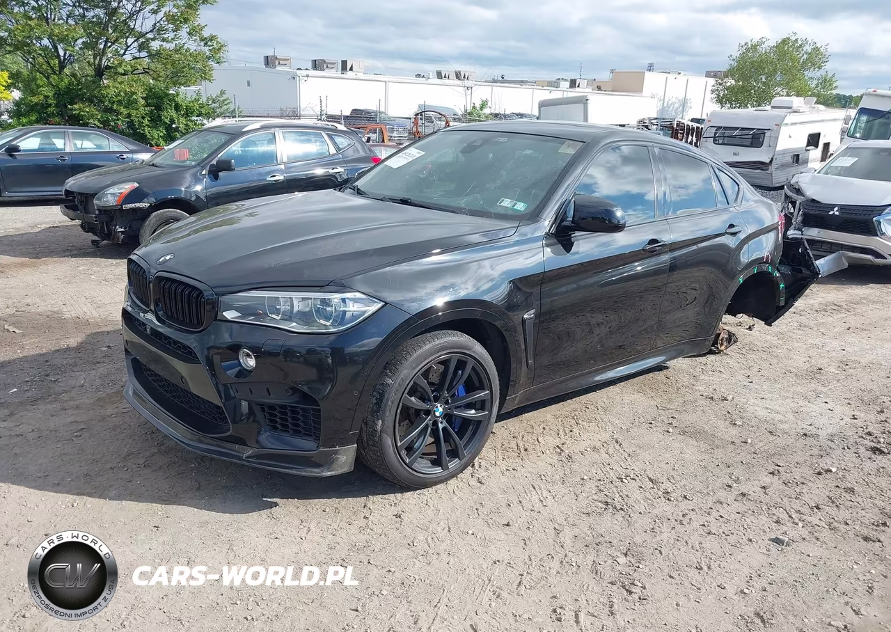 2016 BMW X6 M VIN:5YMKW8C53G0R43336 - 2