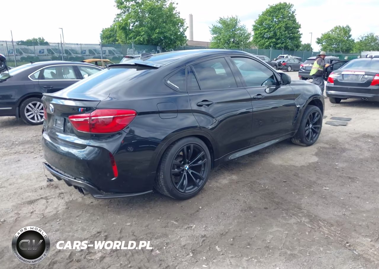 2016 BMW X6 M VIN:5YMKW8C53G0R43336 - 4