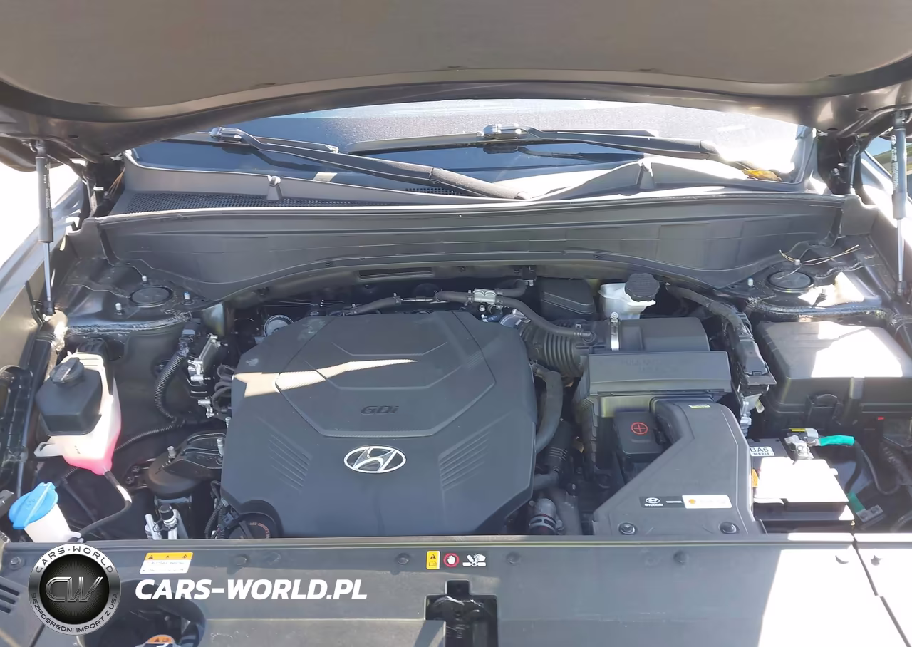 2024 Hyundai Palisade Calligraphy VIN:KM8R7DGE8RU677519 - 10