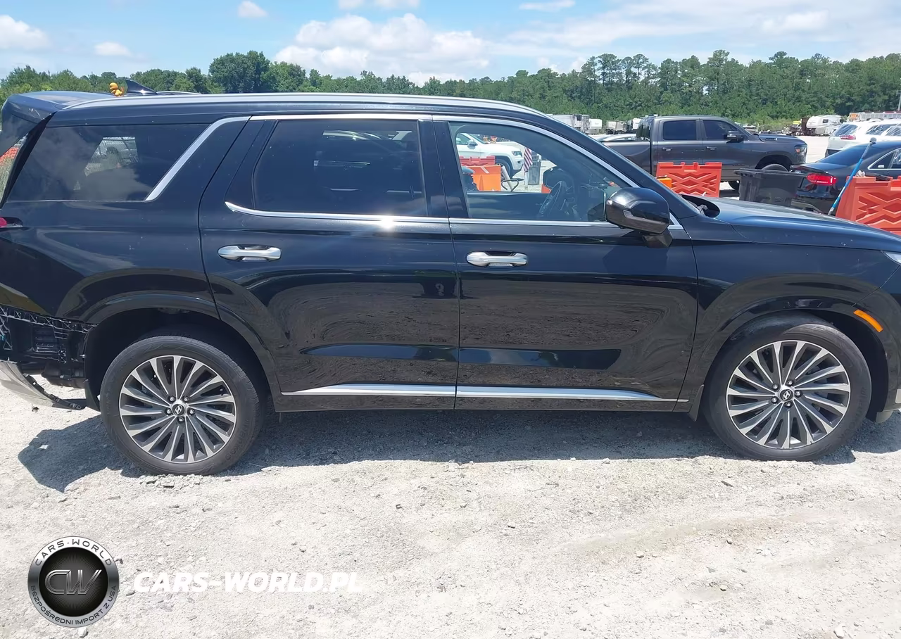 2024 Hyundai Palisade Calligraphy VIN:KM8R7DGE8RU677519 - 13