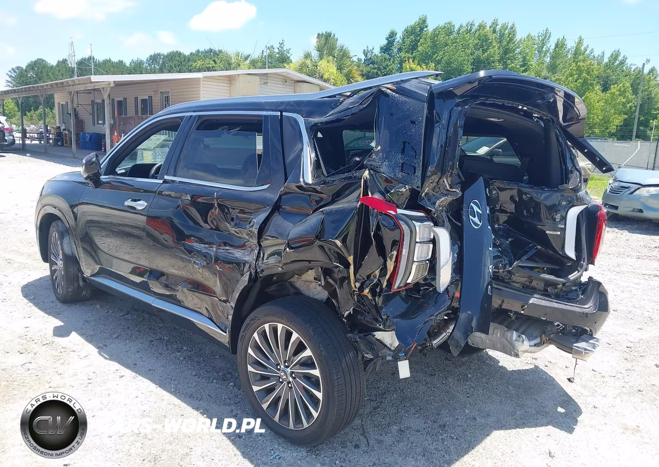 2024 Hyundai Palisade Calligraphy VIN:KM8R7DGE8RU677519 - 3