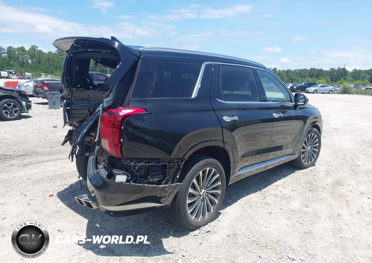 2024 Hyundai Palisade Calligraphy VIN:KM8R7DGE8RU677519 - 4