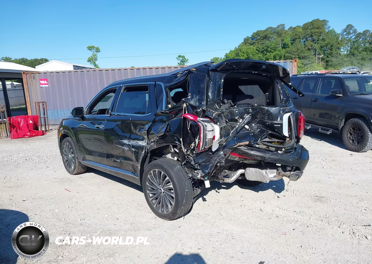 2024 Hyundai Palisade Calligraphy VIN:KM8R7DGE8RU677519 - 6