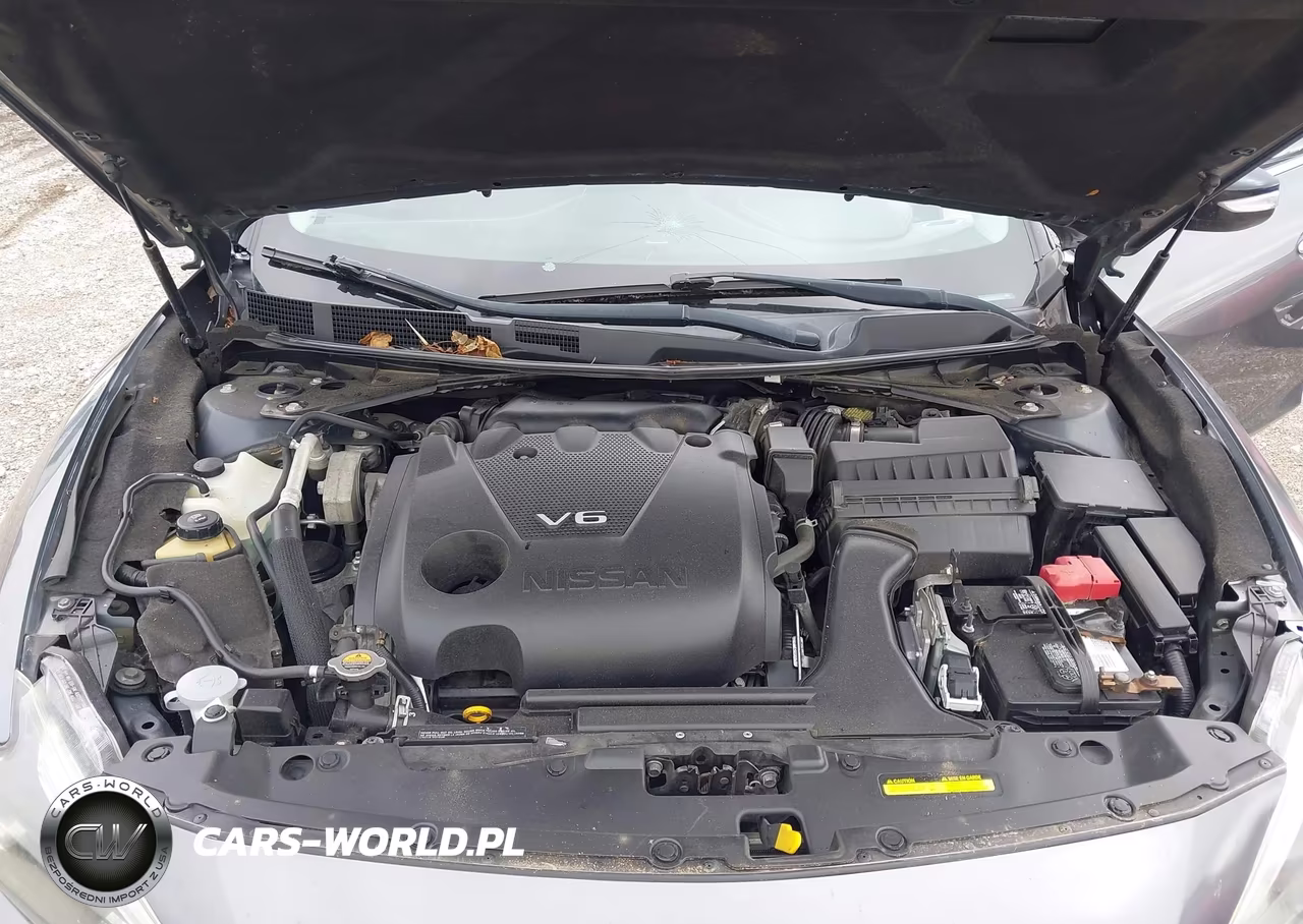 2018 Nissan Maxima 3.5 Sl VIN:1N4AA6AP6JC402109 - 10