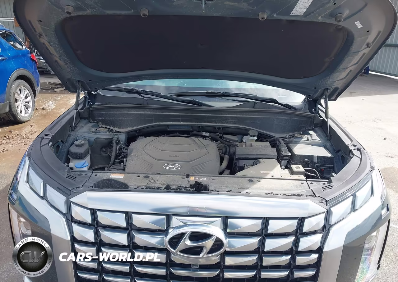 2024 Hyundai Palisade Calligraphy VIN:KM8R7DGE7RU666463 - 10